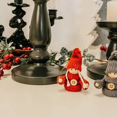 Apartament Old Town Delux